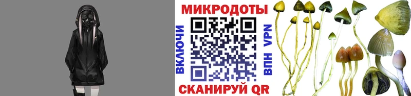 Псилоцибиновые грибы Psilocybine cubensis  Микунь 